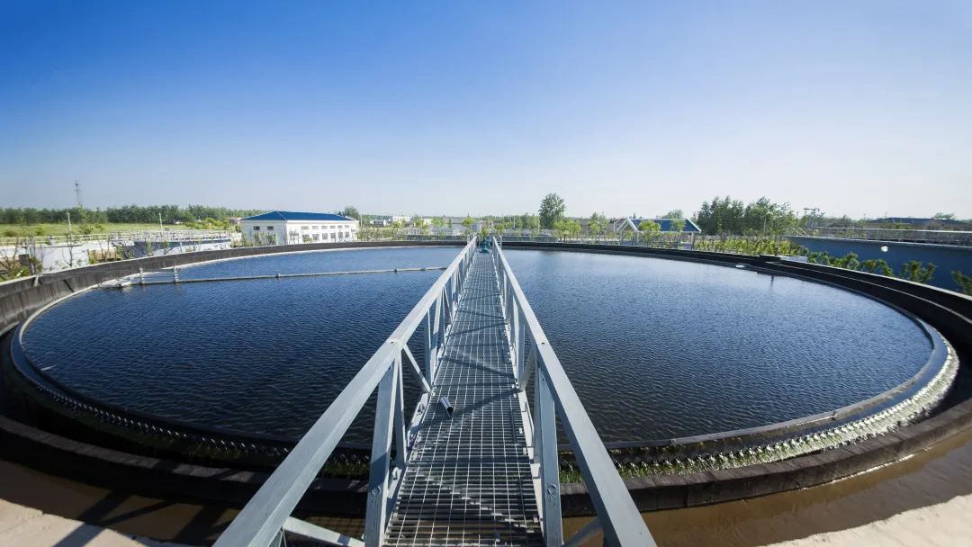 z6.com旗下中电加美入选 2022年第四时度专精特新中幼企业名单